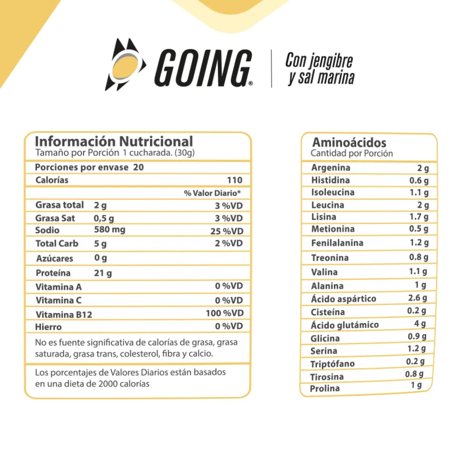 PROTEINA GOING SABOR CHOCOLATE (SOBRE 30 GRAMOS)